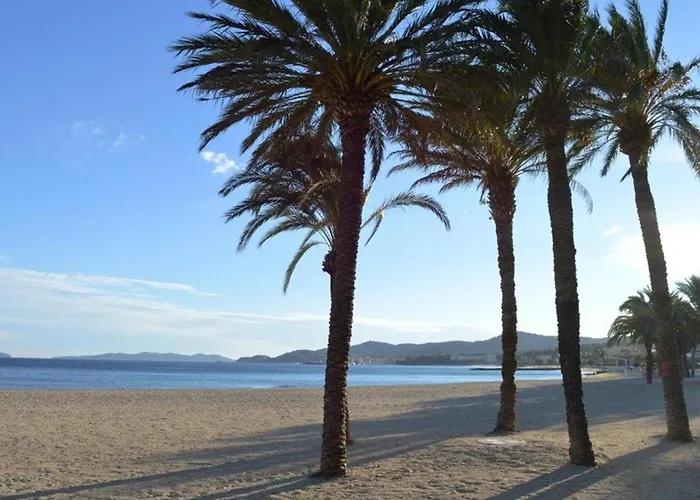 T2 Avec Parking Au Lavandou, Pieds Dans L'eau - Fr-1-251-210 *