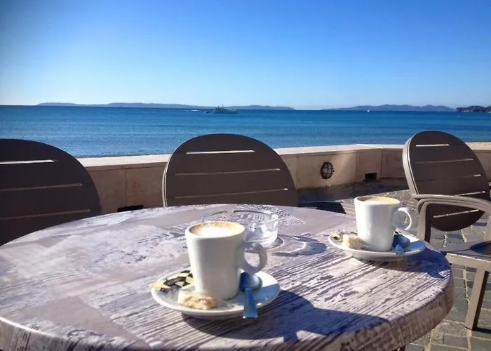 T2 Avec Parking Au Lavandou, Pieds Dans L'eau - Fr-1-251-210 Apartment Le Lavandou